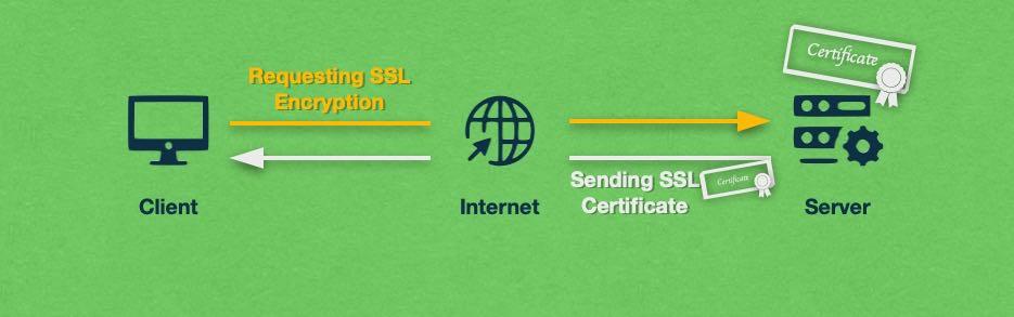 Understanding the⁤ Importance of SSL for Your Website