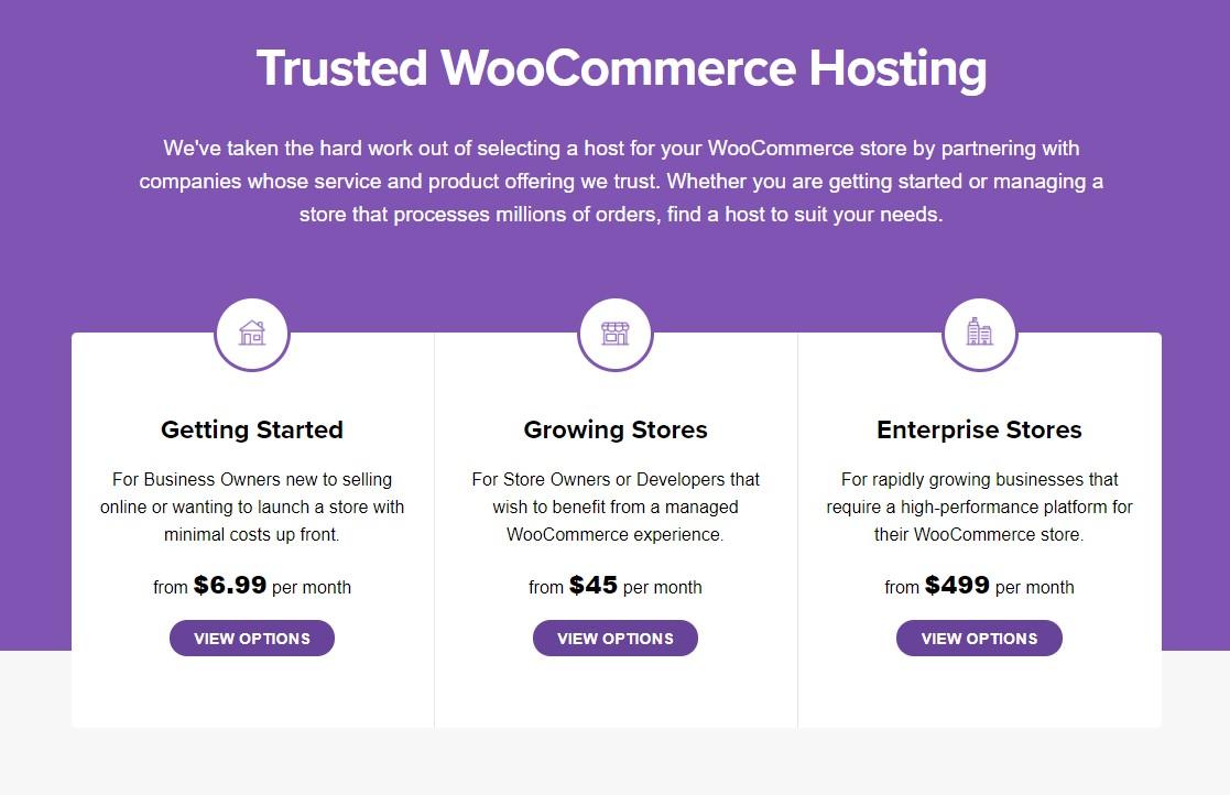 What Does WooCommerce Cost: Understanding Pricing and Expenses