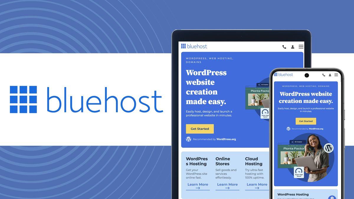 The Cons of Bluehost You Should​ Consider Before Committing