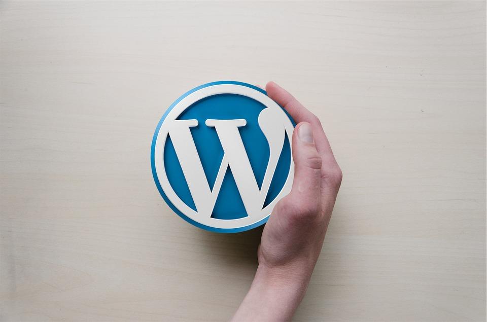 Understanding the Core Differences Between WordPress and WooCommerce