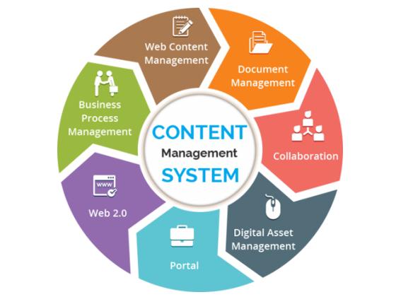 Best Practices for Keeping Your Digital Content Organized