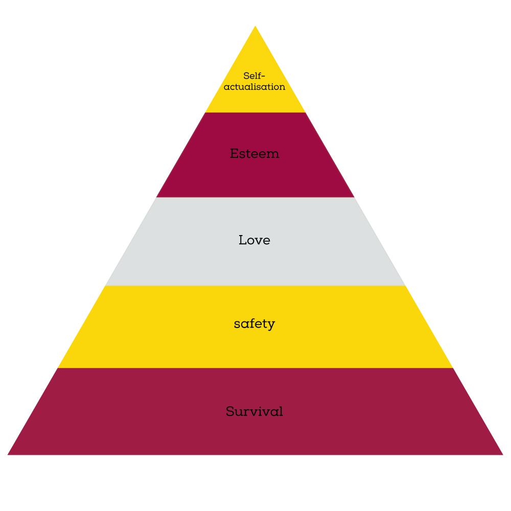 How to Evaluate the Best Plans for Your Business Needs