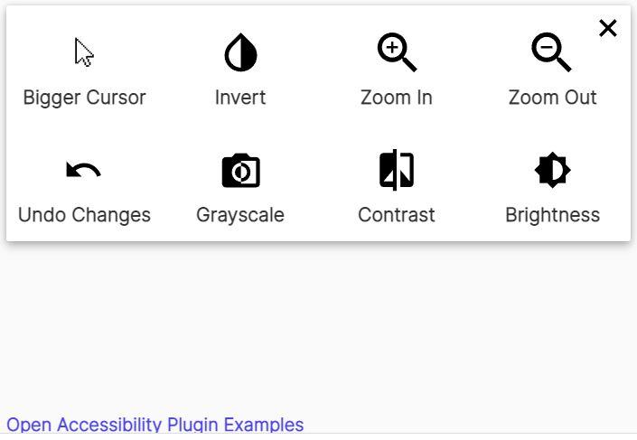 Top Features to Look for in Accessibility Plugins