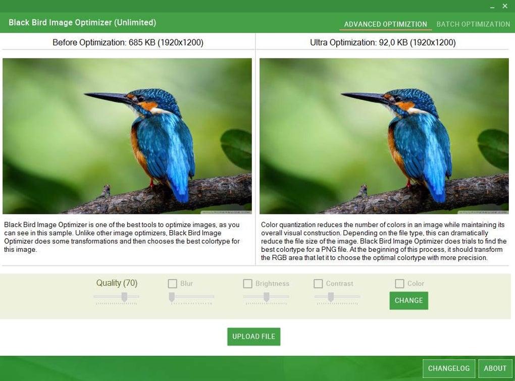 Choosing the Right Image Optimizer for Your WordPress Site