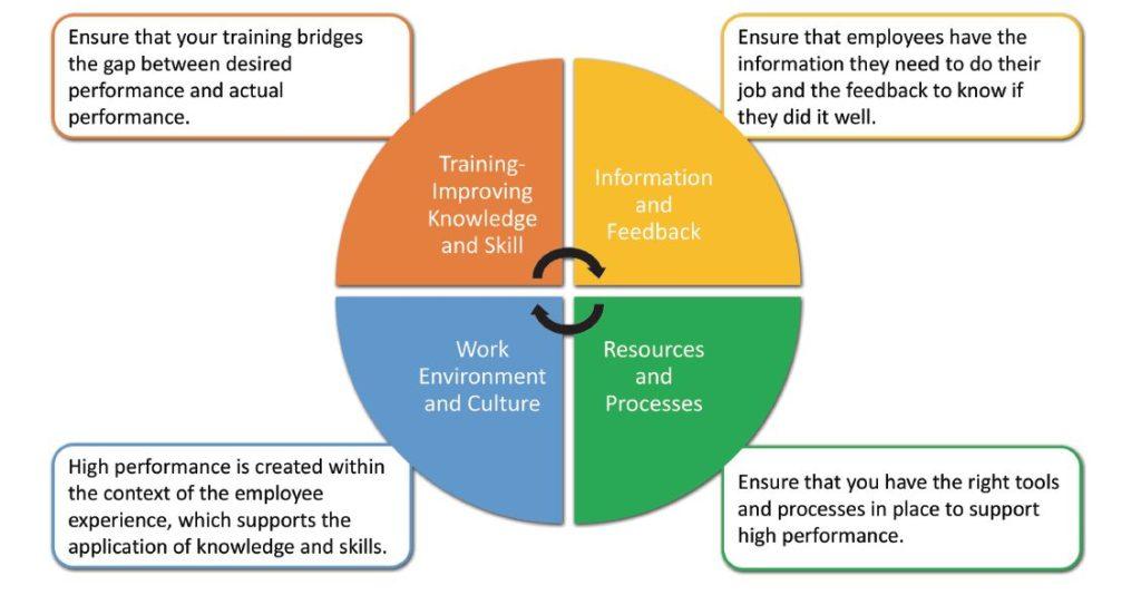 The Performance Factor: Speed and Uptime Explained