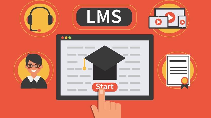 Real-World Applications: How Organizations Use LMS Effectively