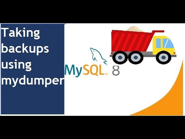 Real-Life Success Stories: How MyDumper Saved the Day