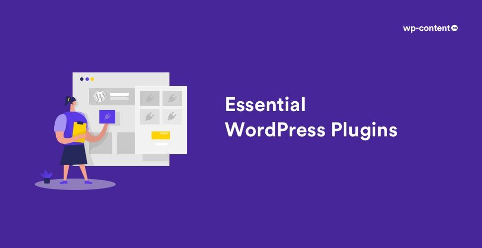 Easy Integration with Essential Plugins and Tools