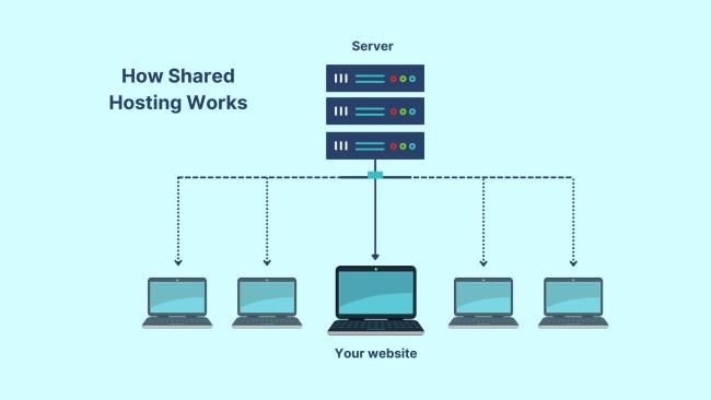 Comparing Shared, VPS, and Managed WordPress Hosting Options