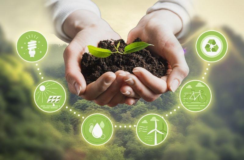 Sustainability in Delivery Management: How Going Green Can Benefit Your Brand