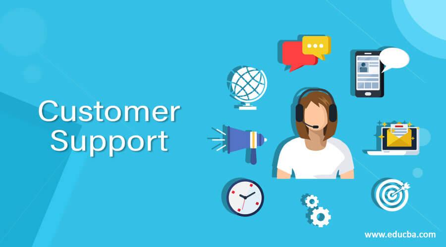 Customer Support: The Lifeline You Cant Overlook