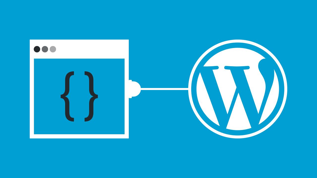 Understanding the Basics of WordPress and Plugin Development