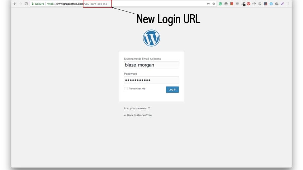 What to Do if You Forget Your New Login URL