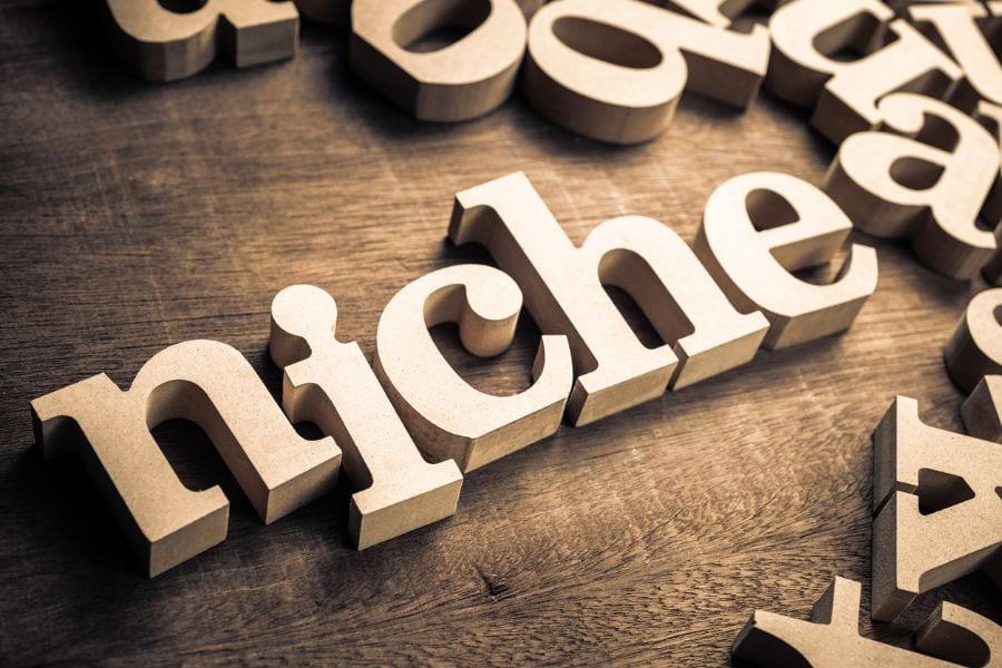 Choosing Your Perfect Niche and Audience