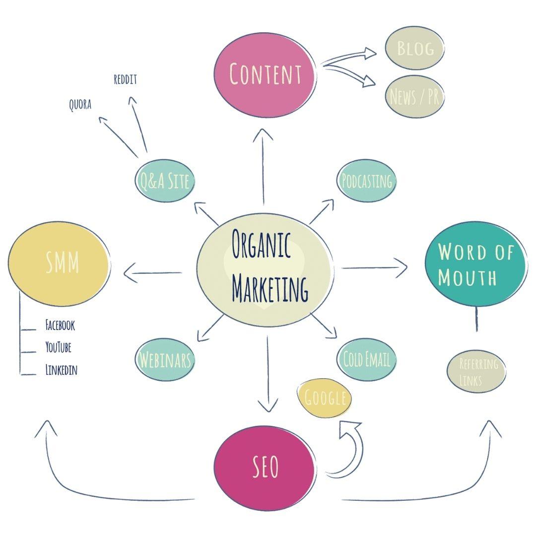 How to Combine Organic and Paid Strategies for Maximum Effect