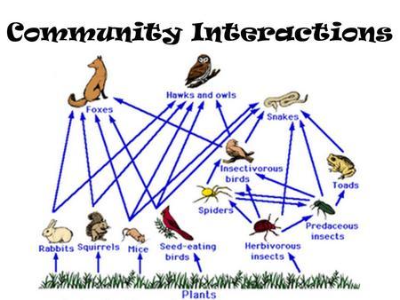 Building a Community: Why Interaction Matters in⁤ Online Learning