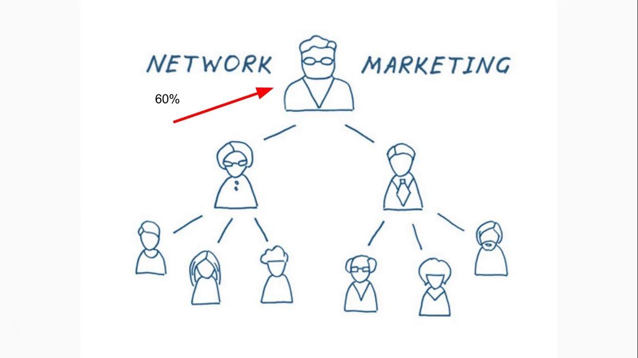 Understanding the Basics of Network Marketing