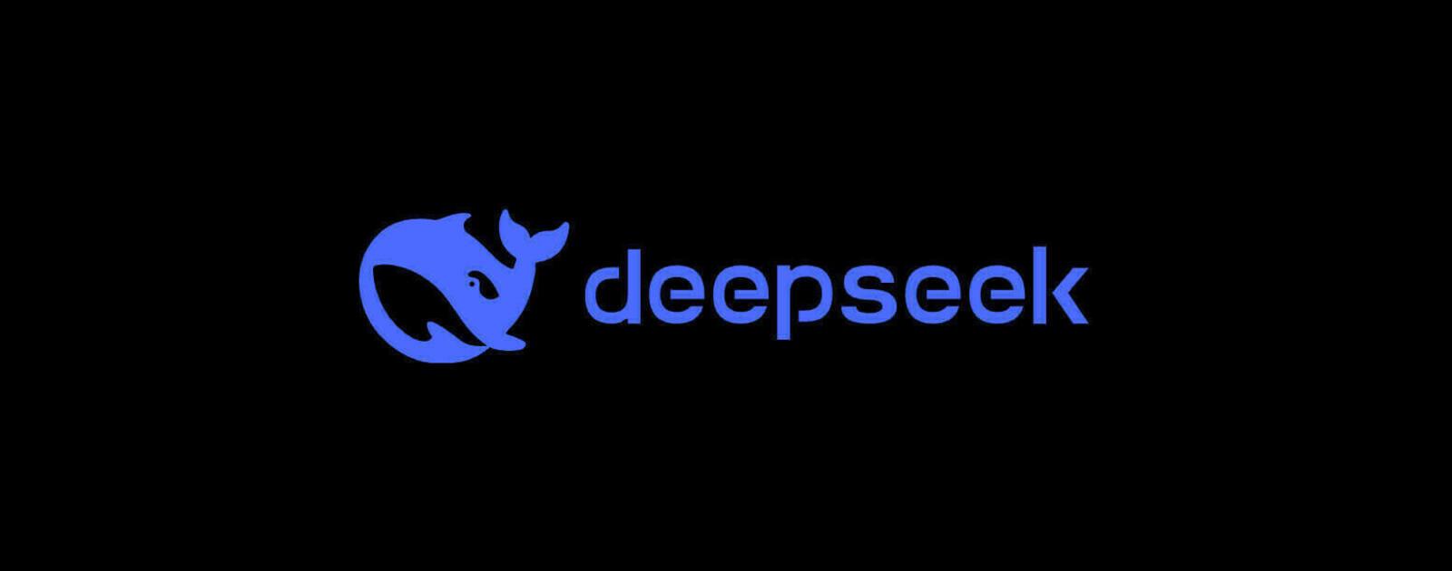 Real-Life Success Stories: Businesses Thriving with DeepSeek