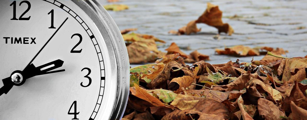 Saving Your Changes: Ensuring Nothing Gets Lost