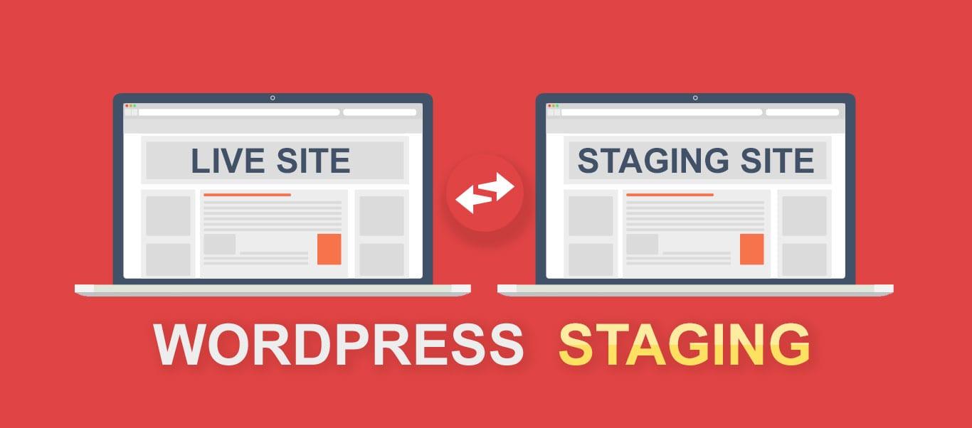 Beginner’s Guide: How to Set Up a WordPress Staging Site