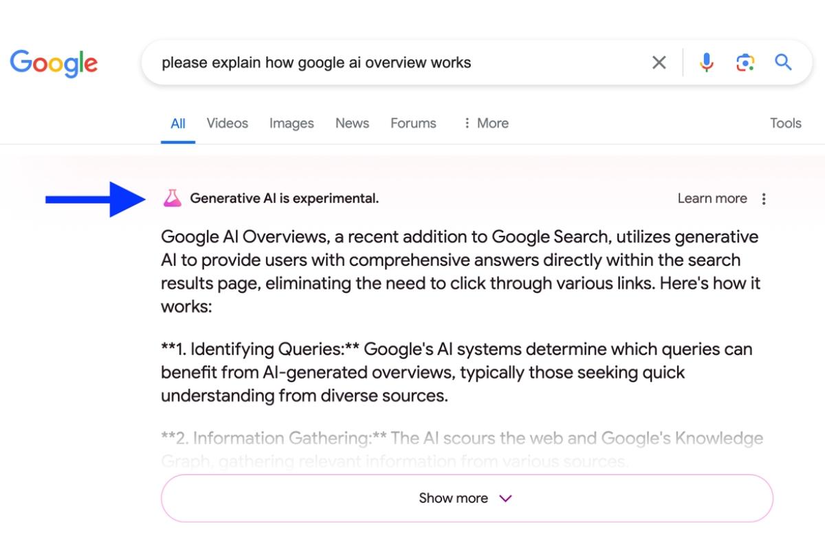 What are Google AI Overviews & How to Rank?