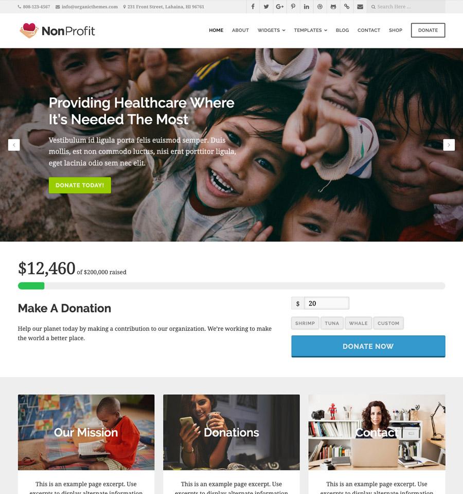 Key Features That Make a Non Profit Theme Stand Out