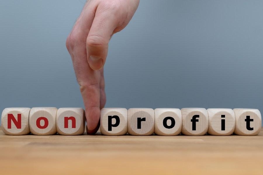 8+ Best Non Profit WordPress Themes