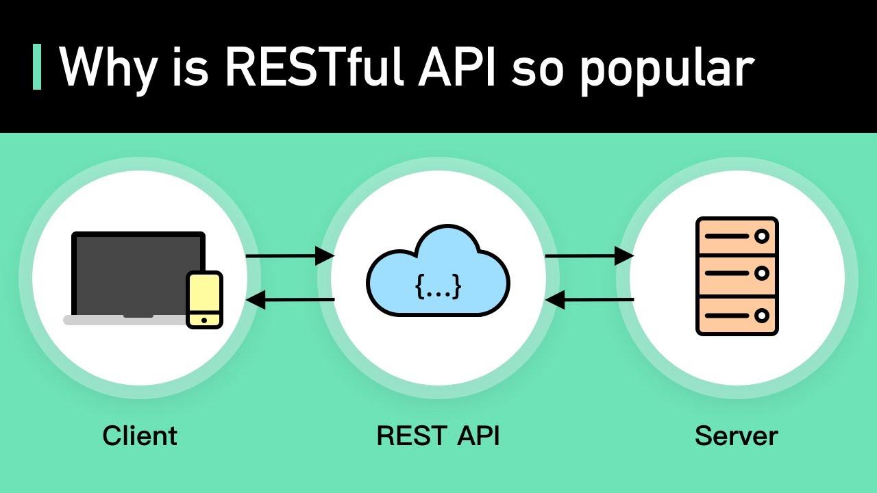 Testing Your Changes: Ensuring the REST API is Disabled