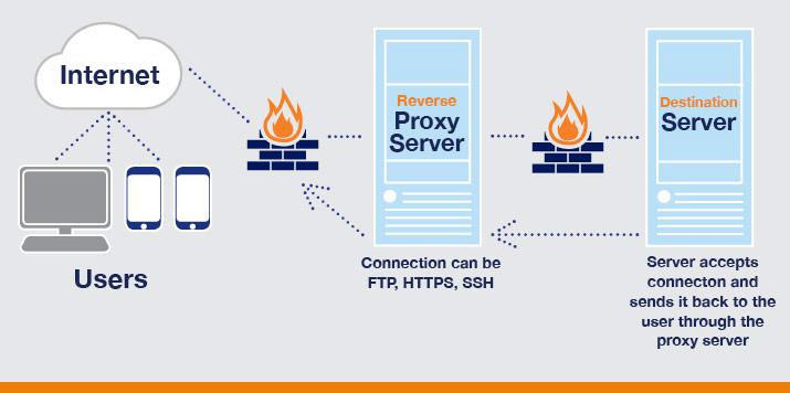 Performance Showdown: Which Proxy Type Delivers Faster Speeds?