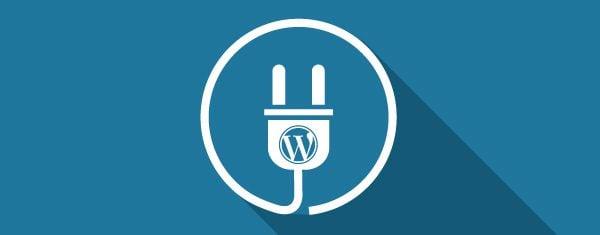 Choosing the Right Plugin: Factors to Consider for Your Business