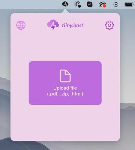 Real User Experiences: What You Need to Know About Tiiny Host