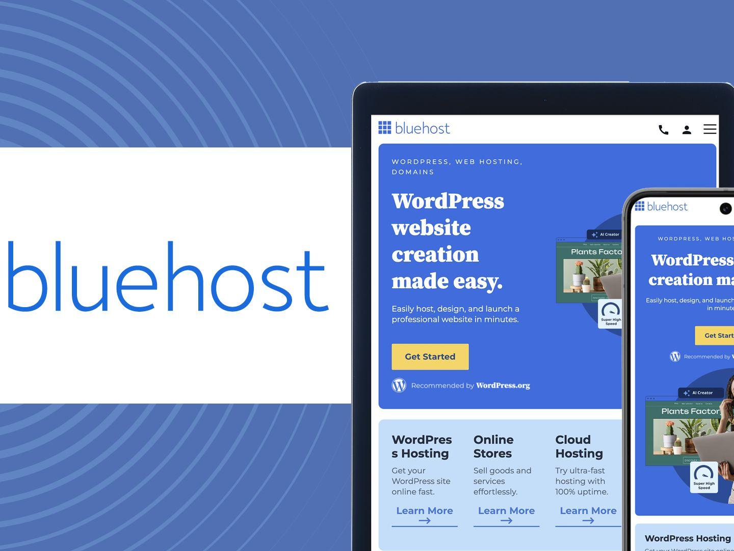 Why Bluehost is Ideal for Beginners and Small Businesses