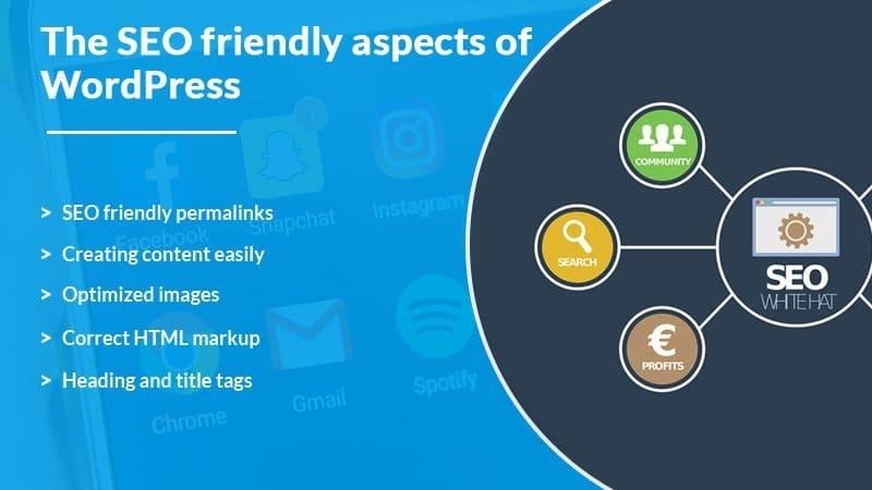 SEO Features: Which Theme Helps You Rank Better?