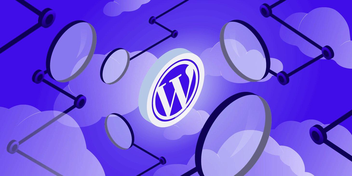 Real User‍ Experiences: Feedback from ‌the WordPress Community