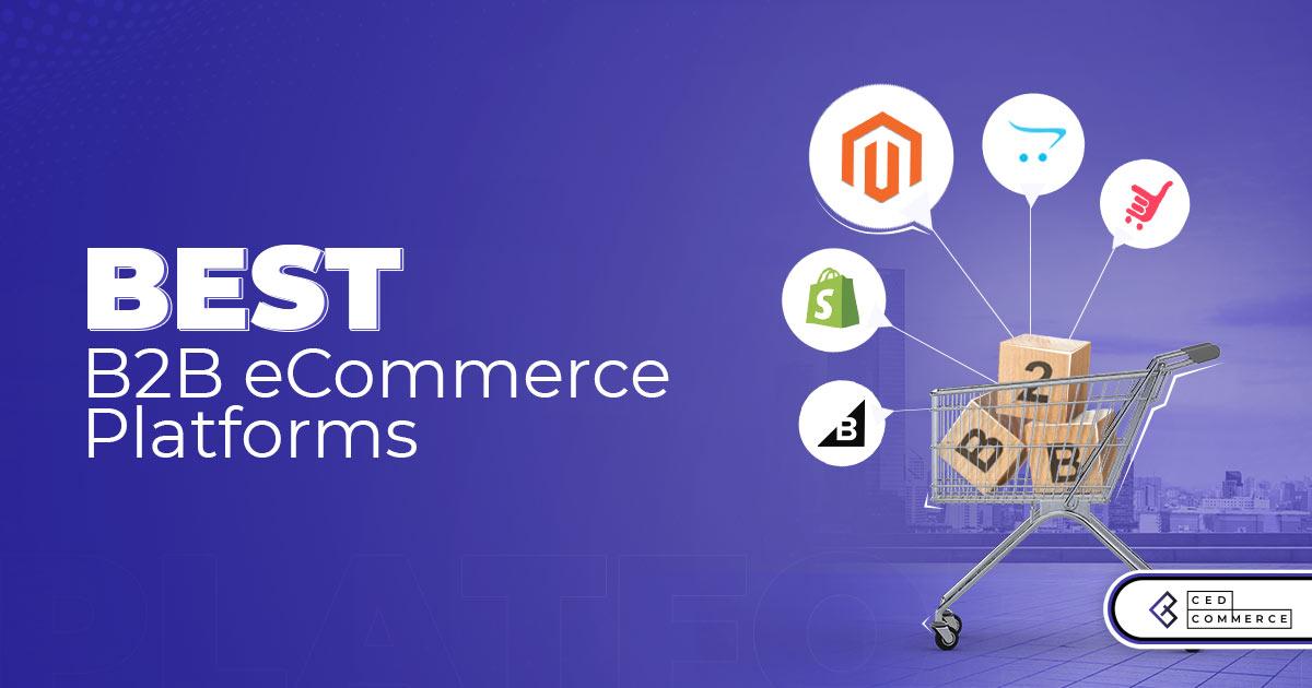 Unlocking New Revenue Potential with B2B Commerce Platforms
