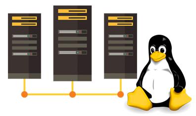 Linux vs Windows Hosting: Which Is Better for WordPress?
