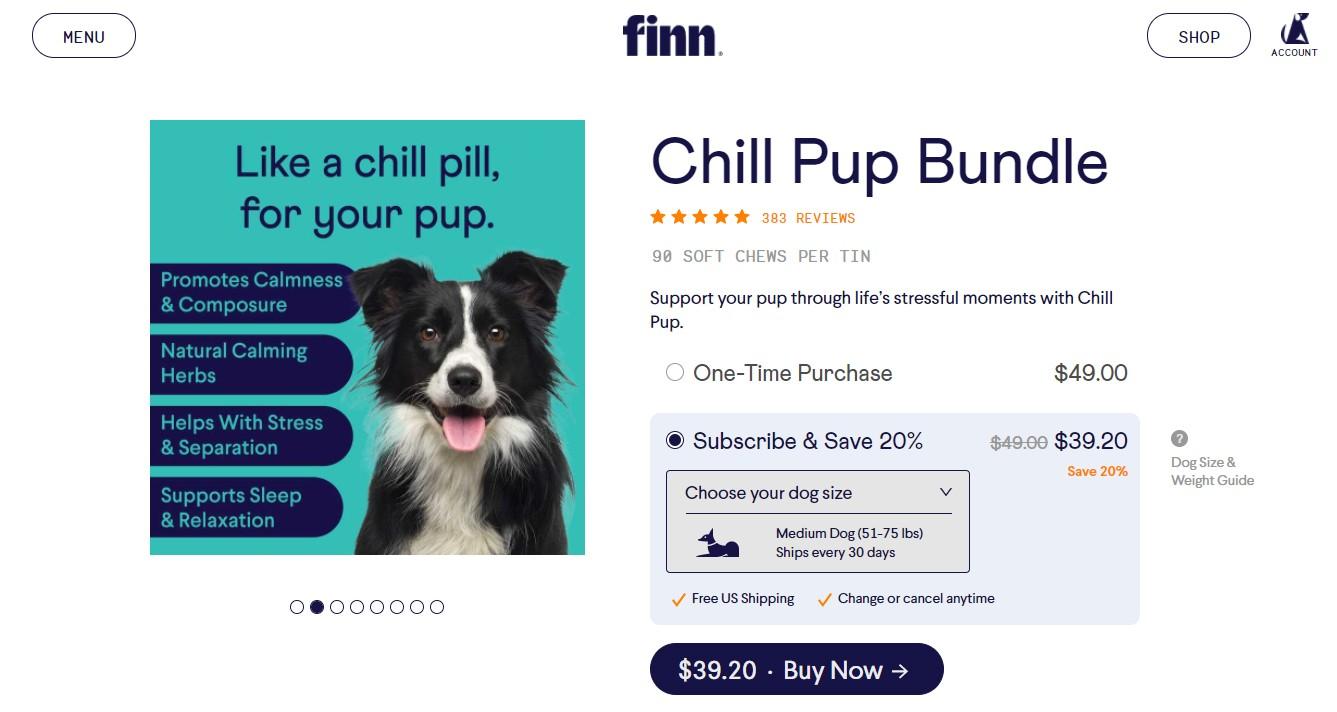 Unlocking the Power of Persuasive Product Descriptions
