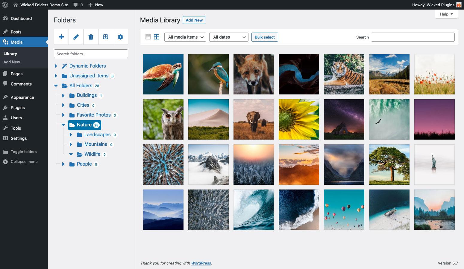 Troubleshooting Common Issues with Media Folders
