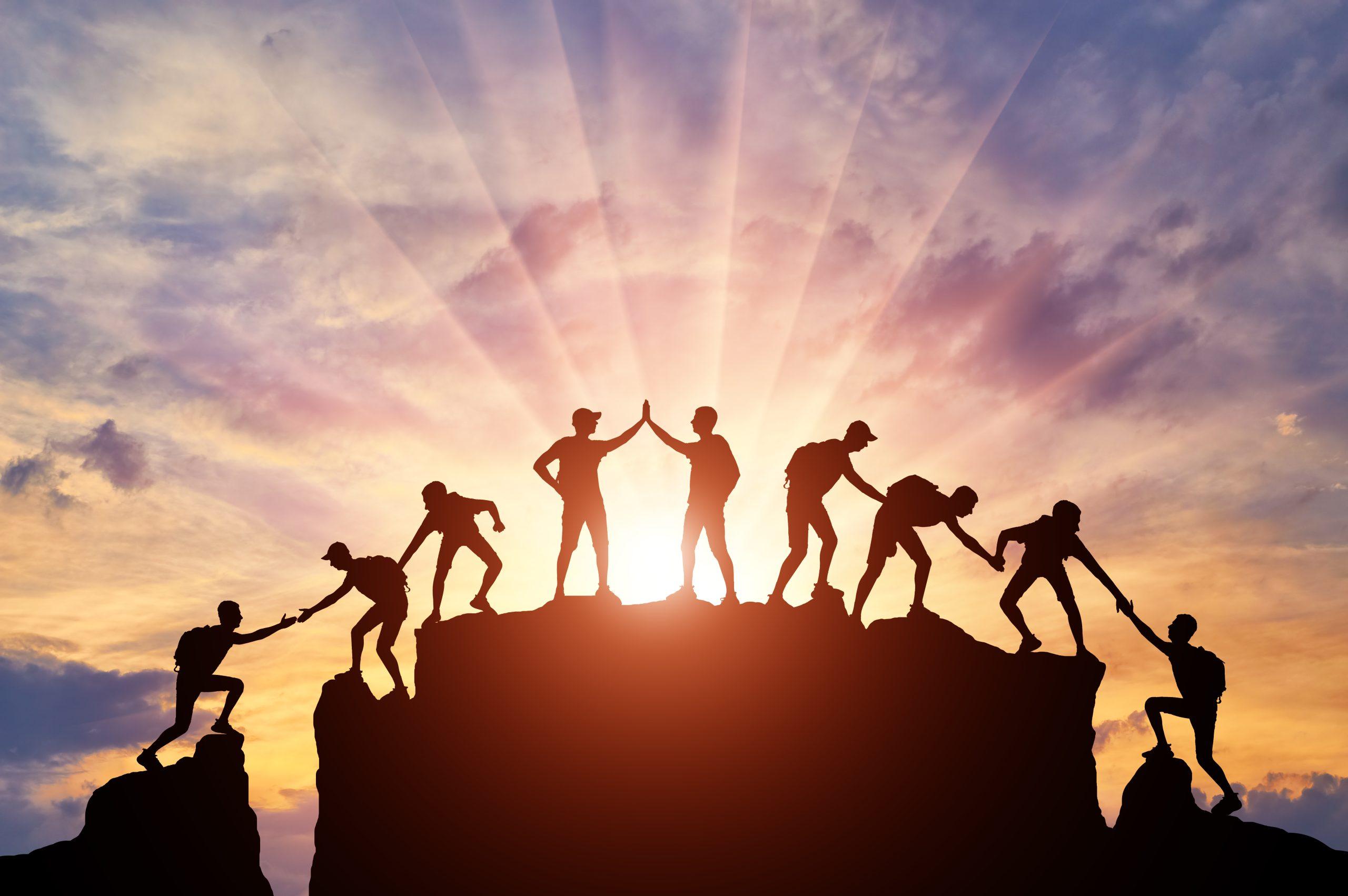 Fostering a Successful Working Relationship