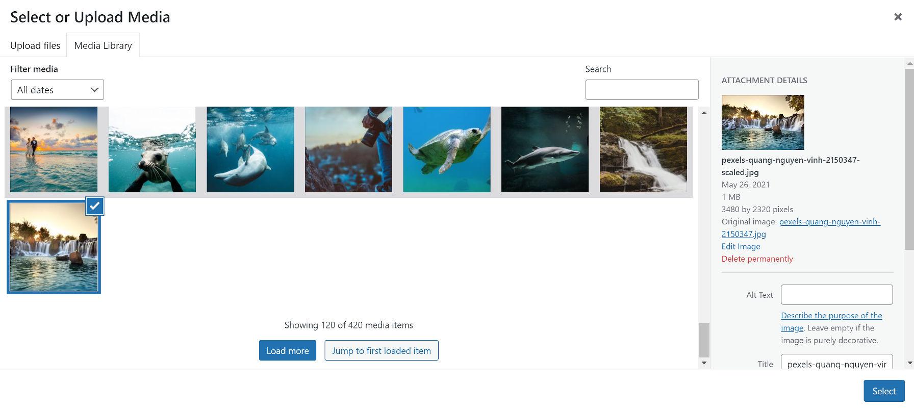 Unlocking the Full Potential of Your WordPress Media Library