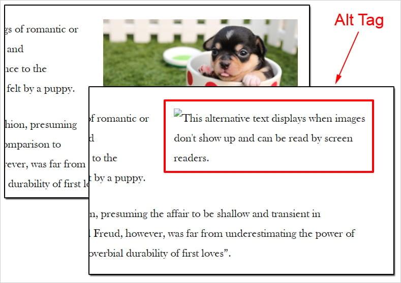 Examples of Great Alt Text for Inspiration