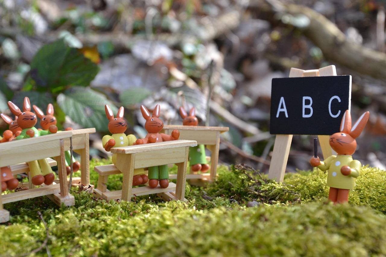 Best School Themes for Seamless Learning Experiences