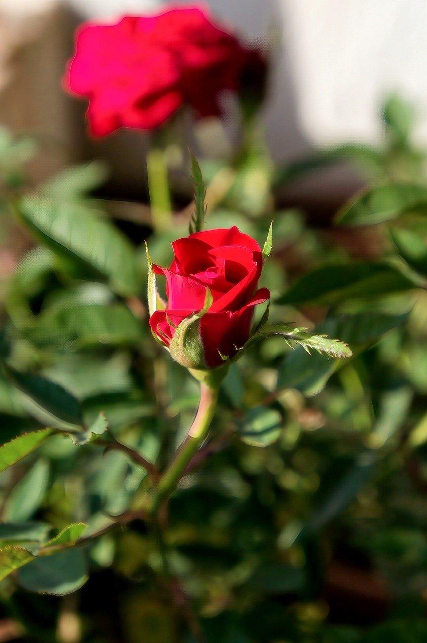 Why AI Blog Generators Are Game-Changers for E-commerce