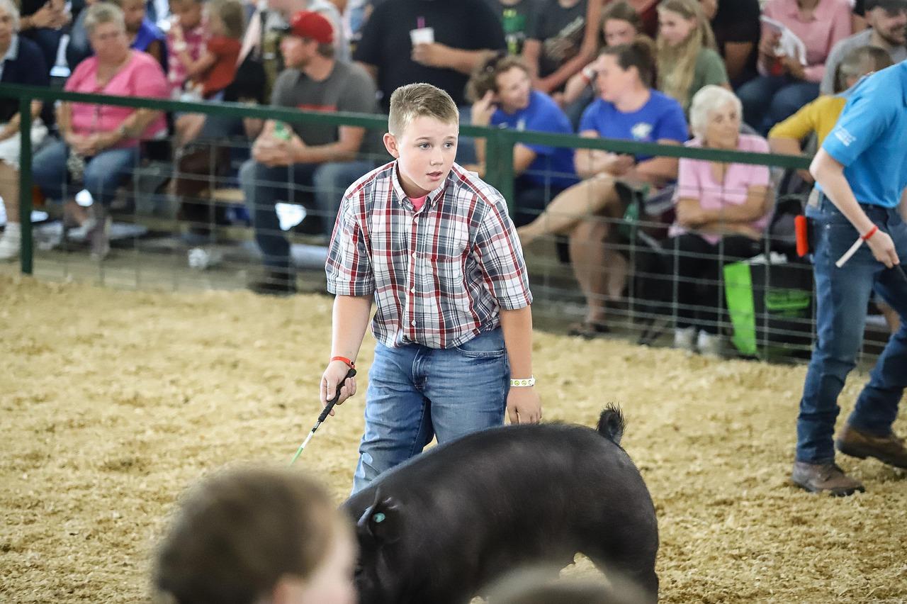 Overcoming Bias: Ensuring Fairness with AI in Choices