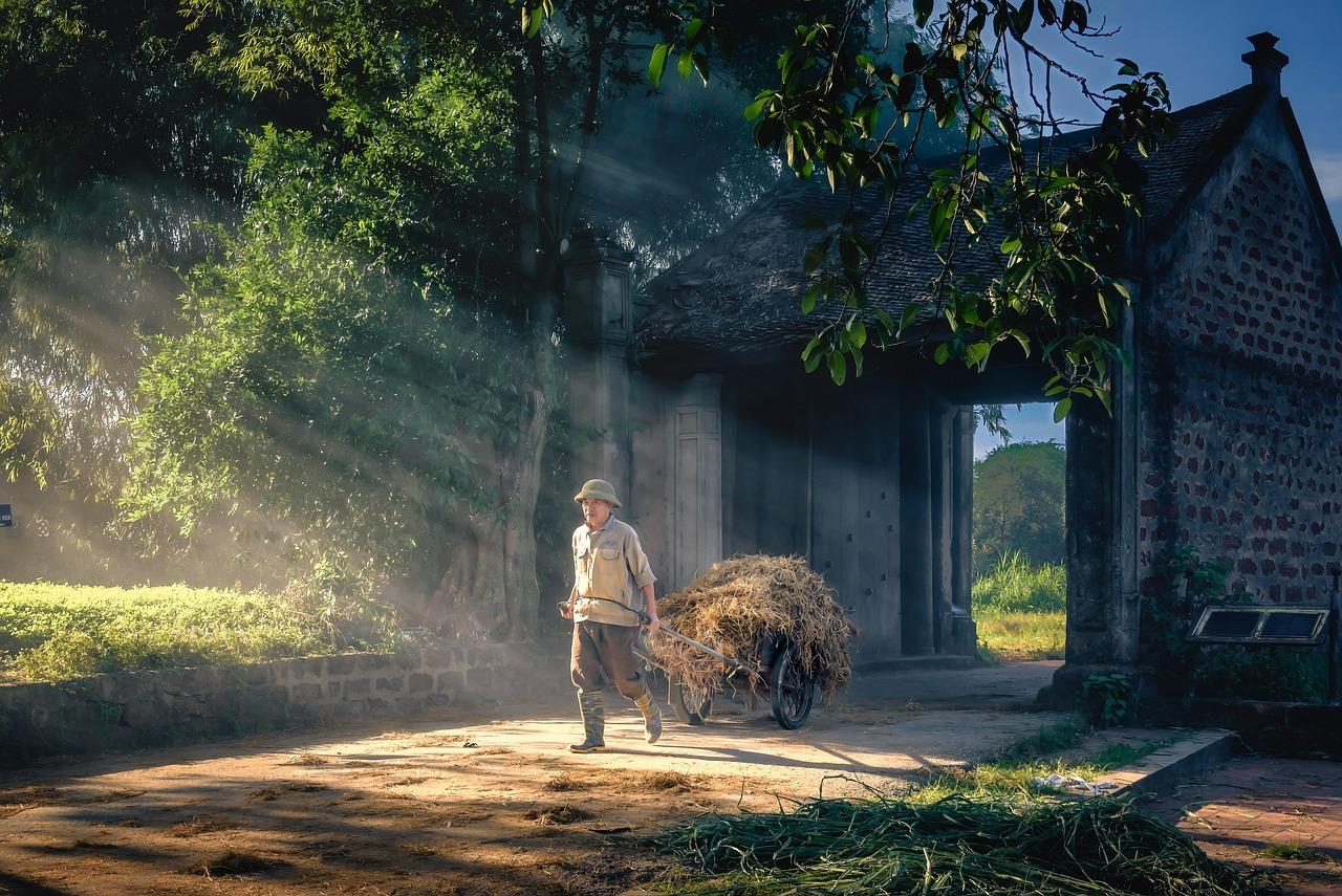 Advanced Features: Which Gateway Packs More Punch?